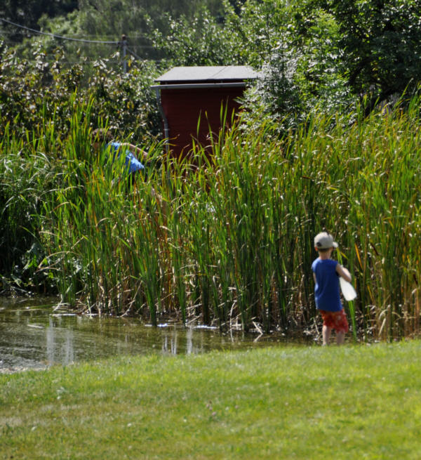 Zum Beenden - Bild anklicken