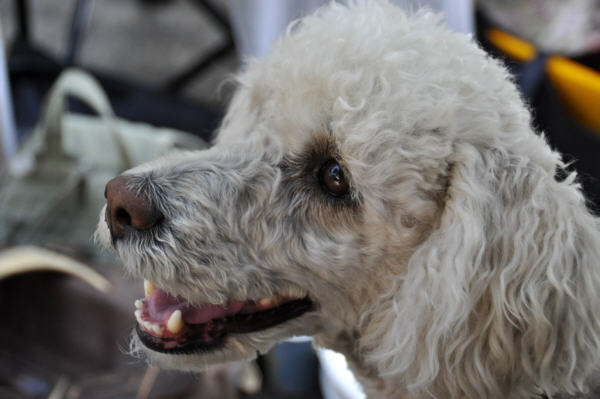 Zum Beenden - Bild anklicken
