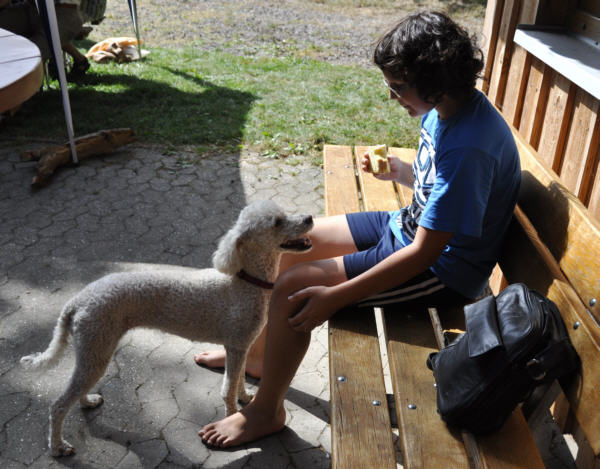 Zum Beenden - Bild anklicken