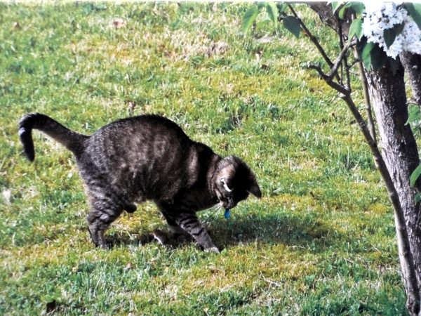 Zum Beenden - Bild anklicken