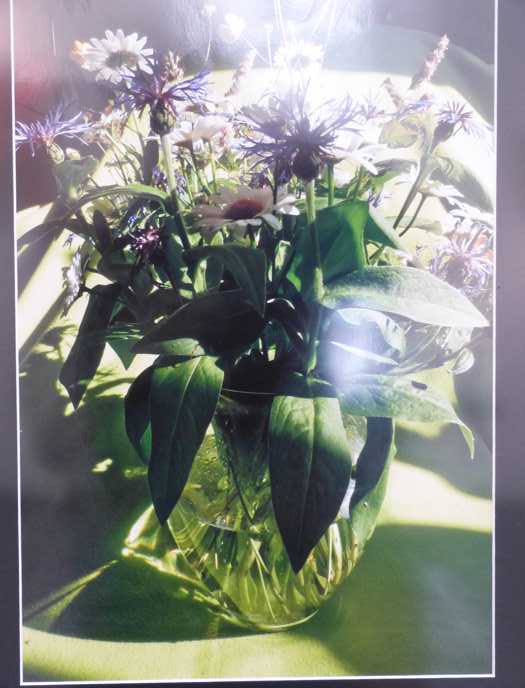 Zum Beenden - Bild anklicken