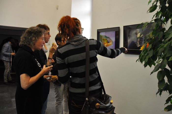 Zum Beenden - Bild anklicken