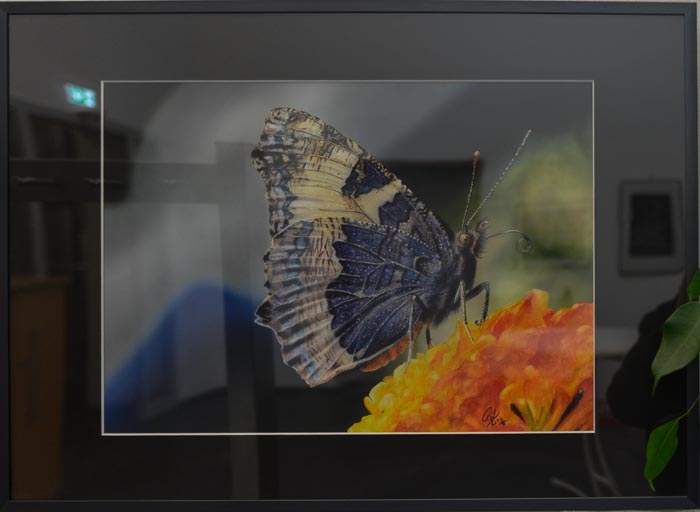 Zum Beenden - Bild anklicken