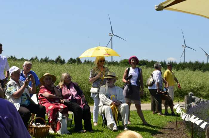 Zum Beenden - Bild anklicken