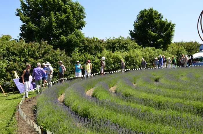 Zum Beenden - Bild anklicken