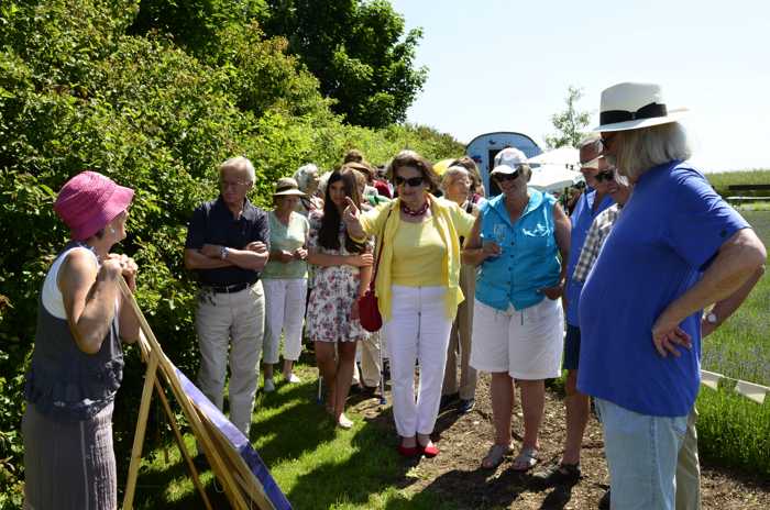 Zum Beenden - Bild anklicken