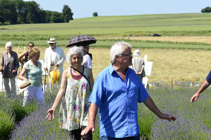 Zum Beenden - Bild anklicken