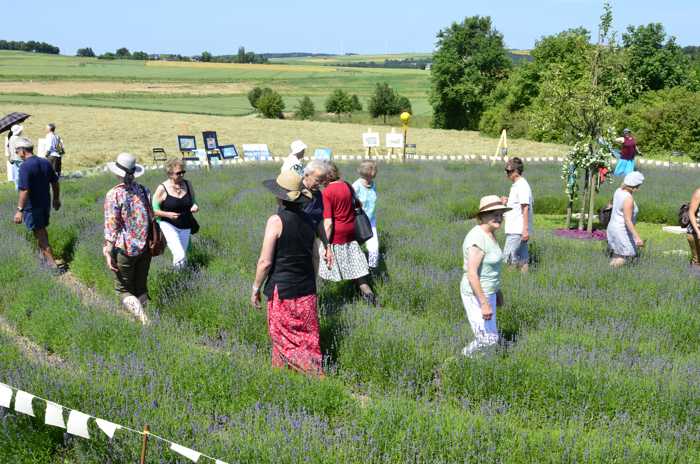 Zum Beenden - Bild anklicken