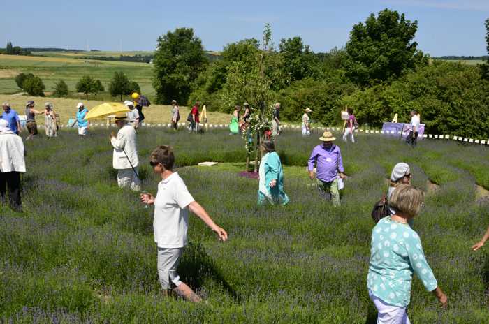 Zum Beenden - Bild anklicken