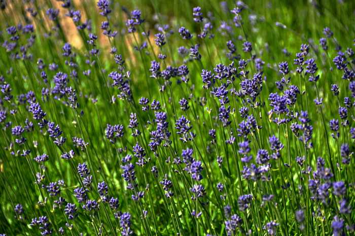 Zum Beenden - Bild anklicken