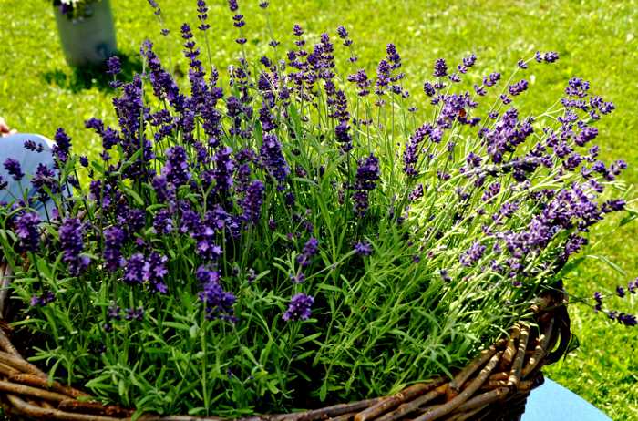 Zum Beenden - Bild anklicken