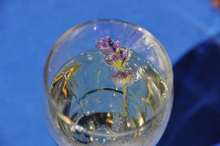 Zum Beenden - Bild anklicken