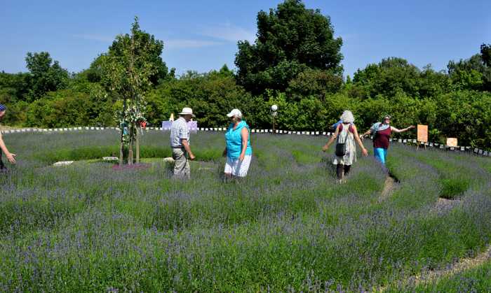 Zum Beenden - Bild anklicken