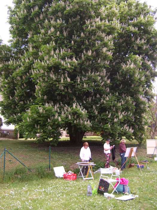 Zum Beenden - Bild anklicken