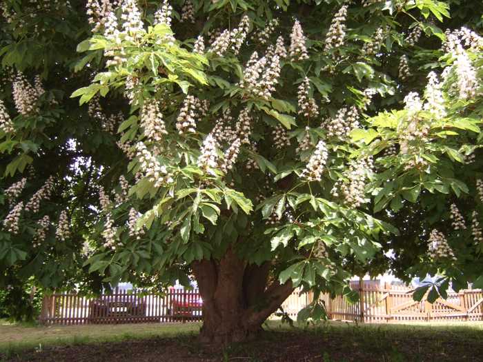 Zum Beenden - Bild anklicken