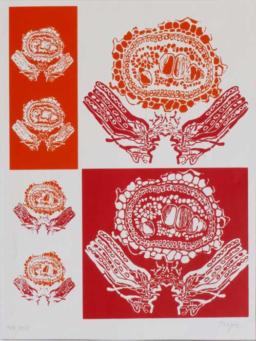 Zum Beenden - Bild anklicken