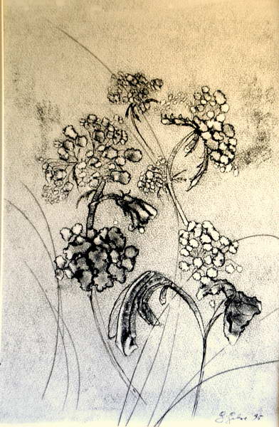 Zum Beenden - Bild anklicken